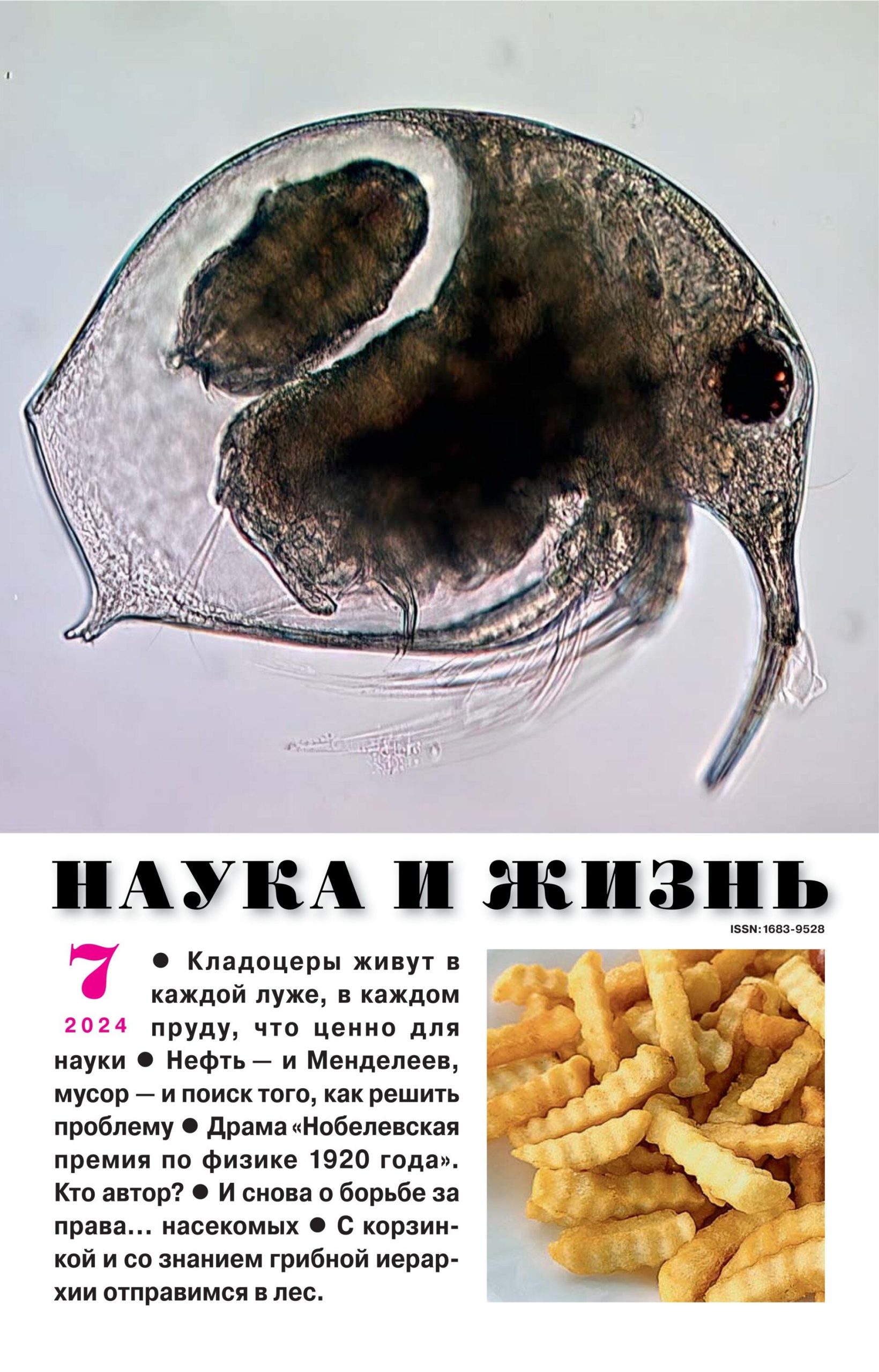 Наука и жизнь, № 7, 2024
