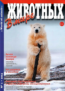 В мире животных, № 1, 2024