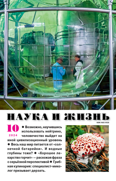 Наука и жизнь, № 10, 2024