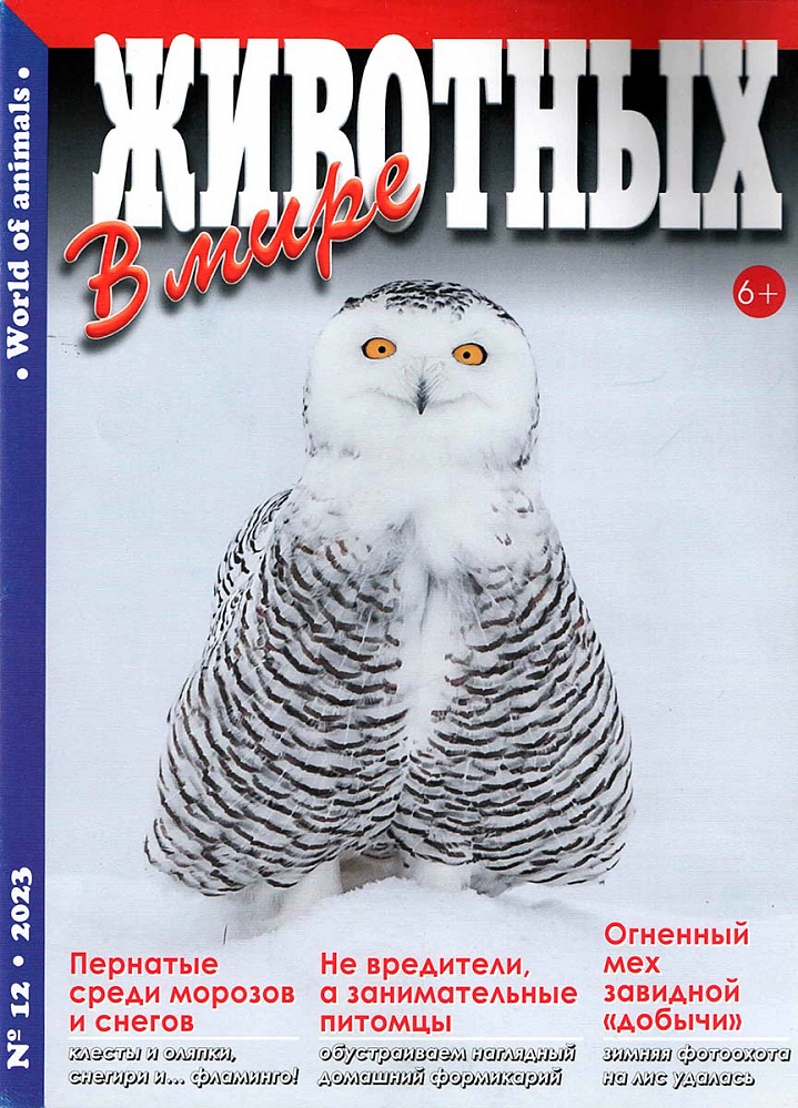 В мире животных, № 12, 2023