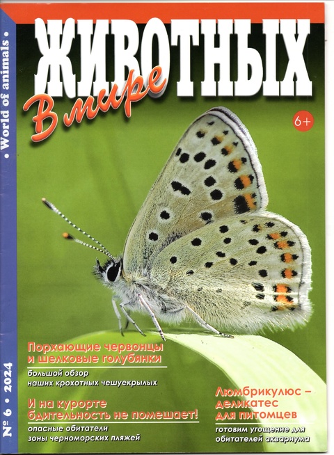 В мире животных, № 6, 2024