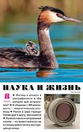 Наука и жизнь, № 8, 2025